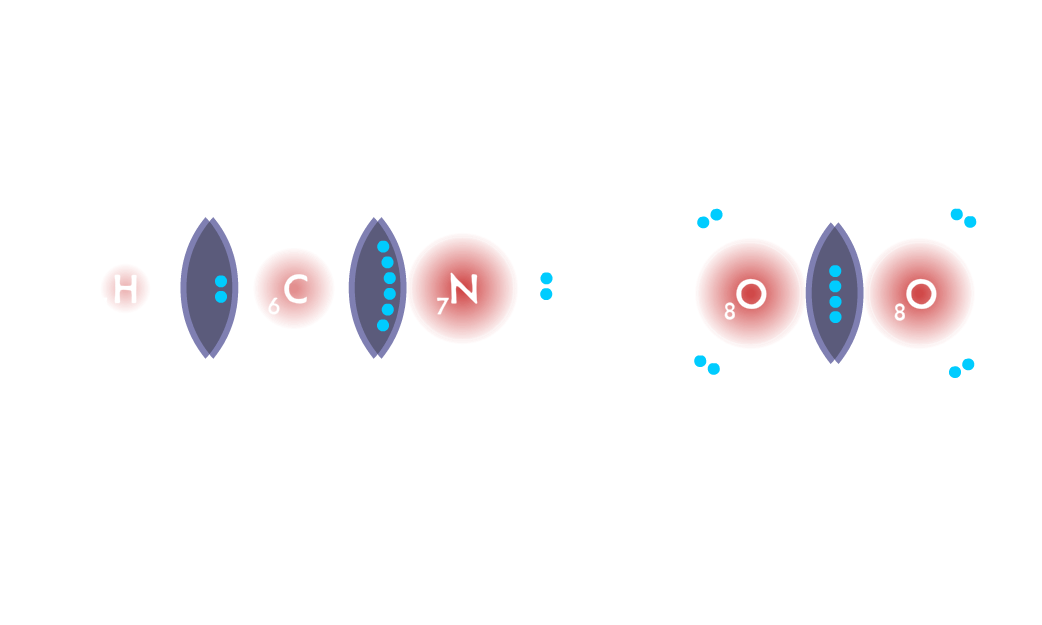 Covalent Bonding game - an HCN molecule is formed with a single bond and a triple bond. O2 is formed with a double bond.